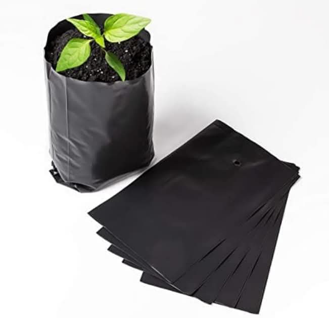 Sac pépinière café